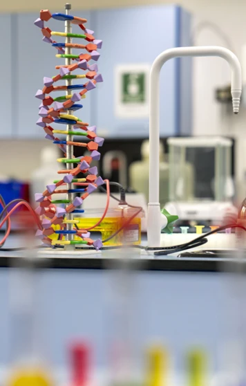 A colourful DNA model stands tall in the middle of a bright science lab bench, surrounded by equipment and science gadgets—ready for some creative experiments and discovery A colourful DNA model stands tall in the middle of a bright science lab bench, surrounded by equipment and science gadgets—ready for some creative experiments and discovery